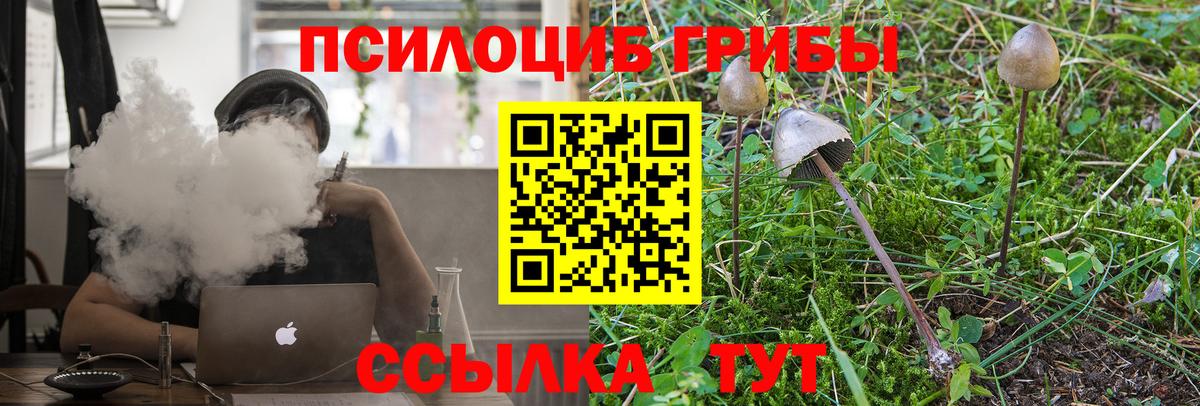 продажа наркотиков  Вход с VPN  Галлюциногенные грибы MAGIC MUSHROOMS  Самара  Галлюциногенные грибы ЛСД 